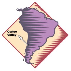 Chilean Grape Regions curico valley